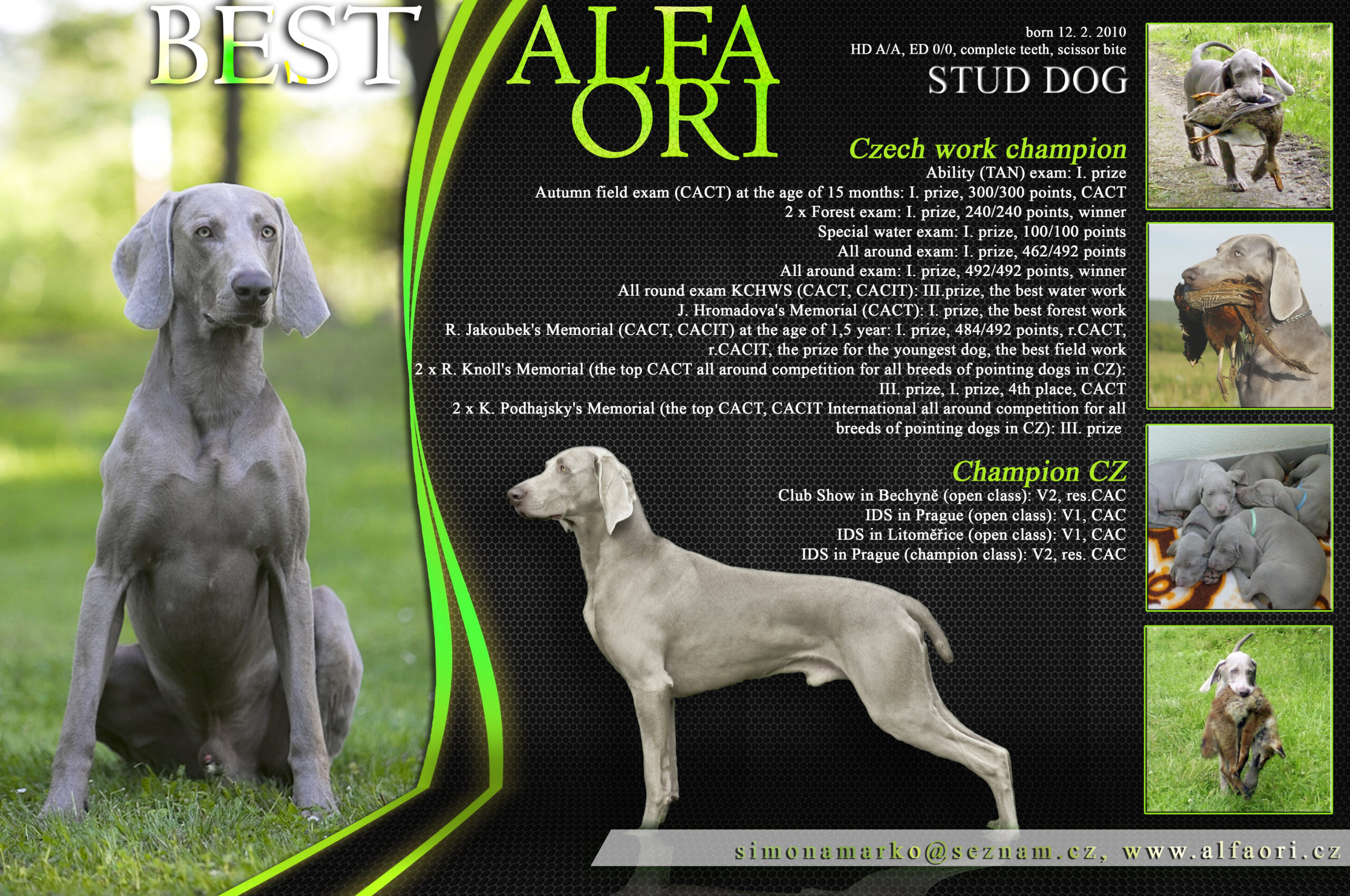 Best-plakat_06-scaled Best-plakat_06-scaled